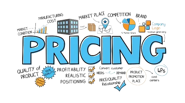 outsource-web-evelopment-solutions.webp